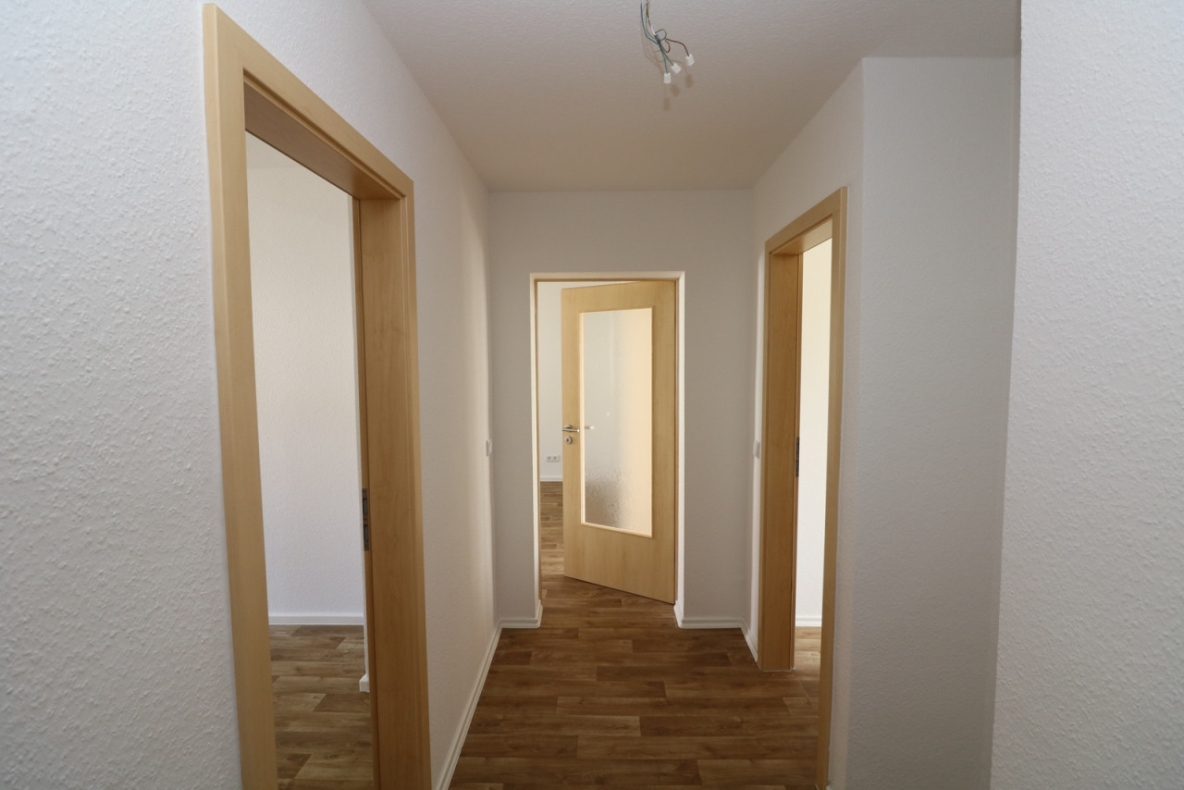 Freiberg sucht den Duschstar...neu sanierte 3-RW mit ebenerdiger Dusche & Balkon!!! - Beispiel Flur
