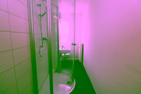Die ersten eigenen 4 Wände – tolle 1RW mit schicker Dusche, 09599 Freiberg, Thomas-Mann-Straße 41