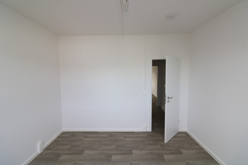 Liebe auf den ersten Blick...sanierte 3-RW mit Dusche & Balkon!!! - SZ