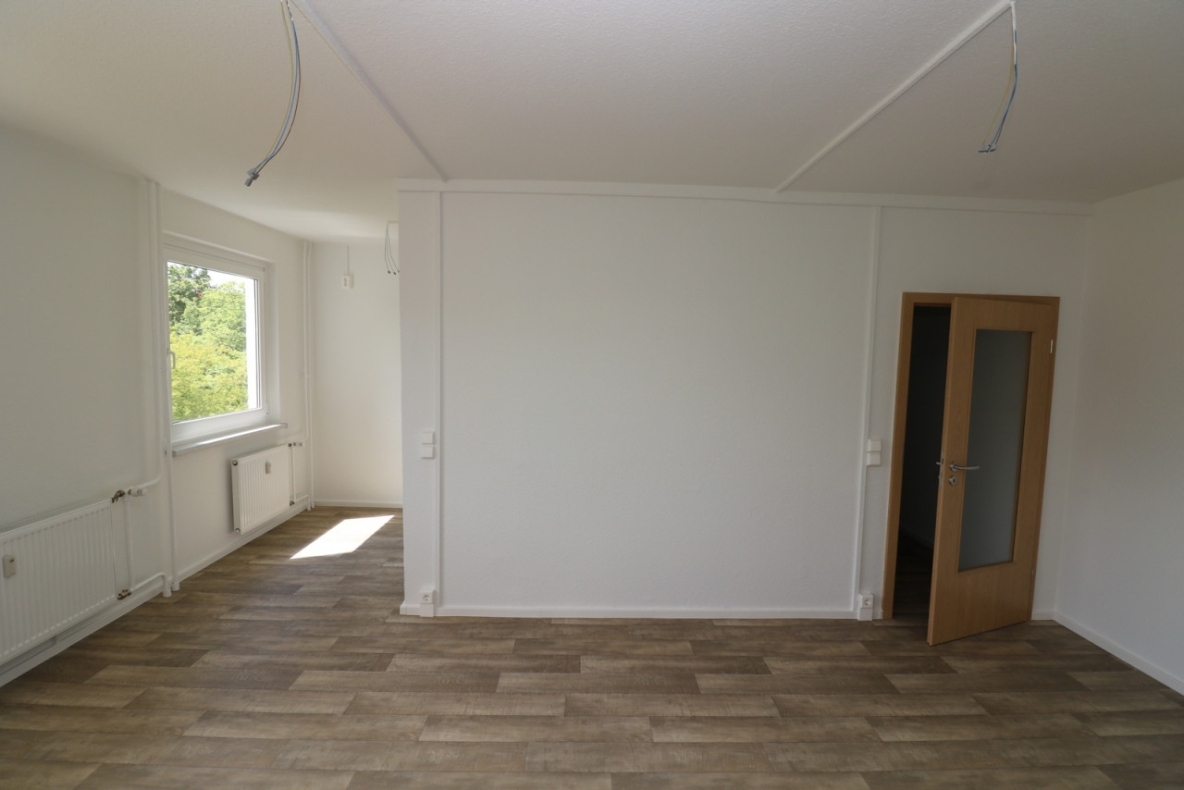 Single-Wohnung sucht Tanzpartner...neu sanierte 1-RW mit Dusche & Balkon!!! - Beispiel Wohnzimmer