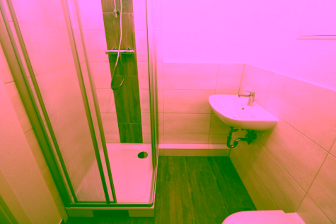 Für Dusch-Verliebte…neu sanierte 3-RW mit Dusche & Balkon!!!, 09599 Freiberg, Tschaikowskistraße 47