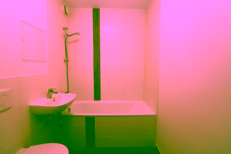 Kompakt, clever, charmant – 2RW mit Wanne und Balkon, 09599 Freiberg, Arthur-Schulz-Straße 8