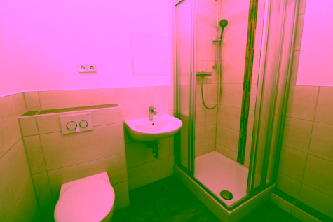 Copilot gesucht…tolle 1-RW mit Dusche & Balkon!!!, 09599 Freiberg, Am Mühlteich 36