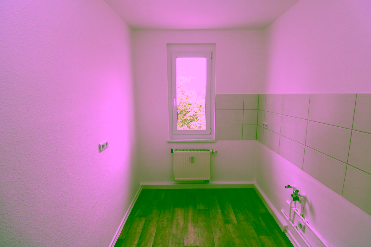Ein Schnapper...helle 2-RW mit Dusche & Balkon!!! - Küche